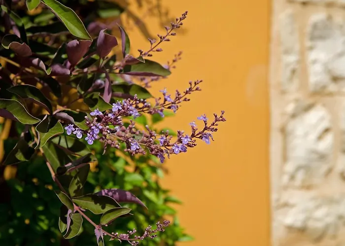 Holiday home Enastron Villas *